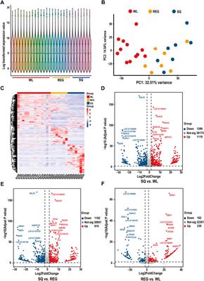 Transcriptome analysis of pika heart tissue reveals mechanisms underlying the adaptation of a <mark class="highlighted">keystone species</mark> on the roof of the world